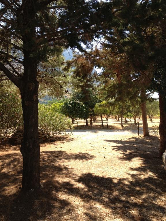 La Giara San Vito Lo Capo Villa Castelluzzo Ngoại thất bức ảnh