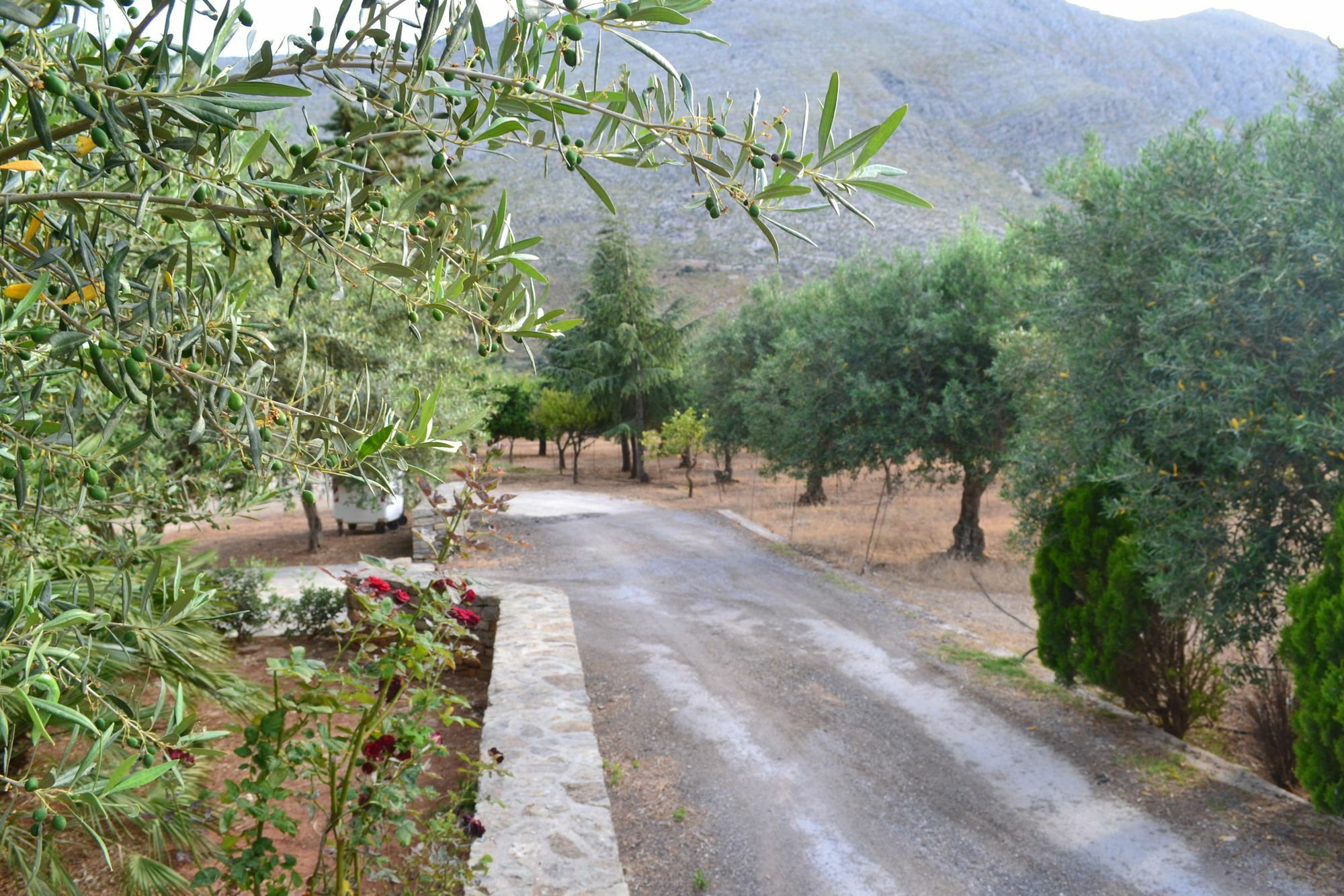 La Giara San Vito Lo Capo Villa Castelluzzo Ngoại thất bức ảnh